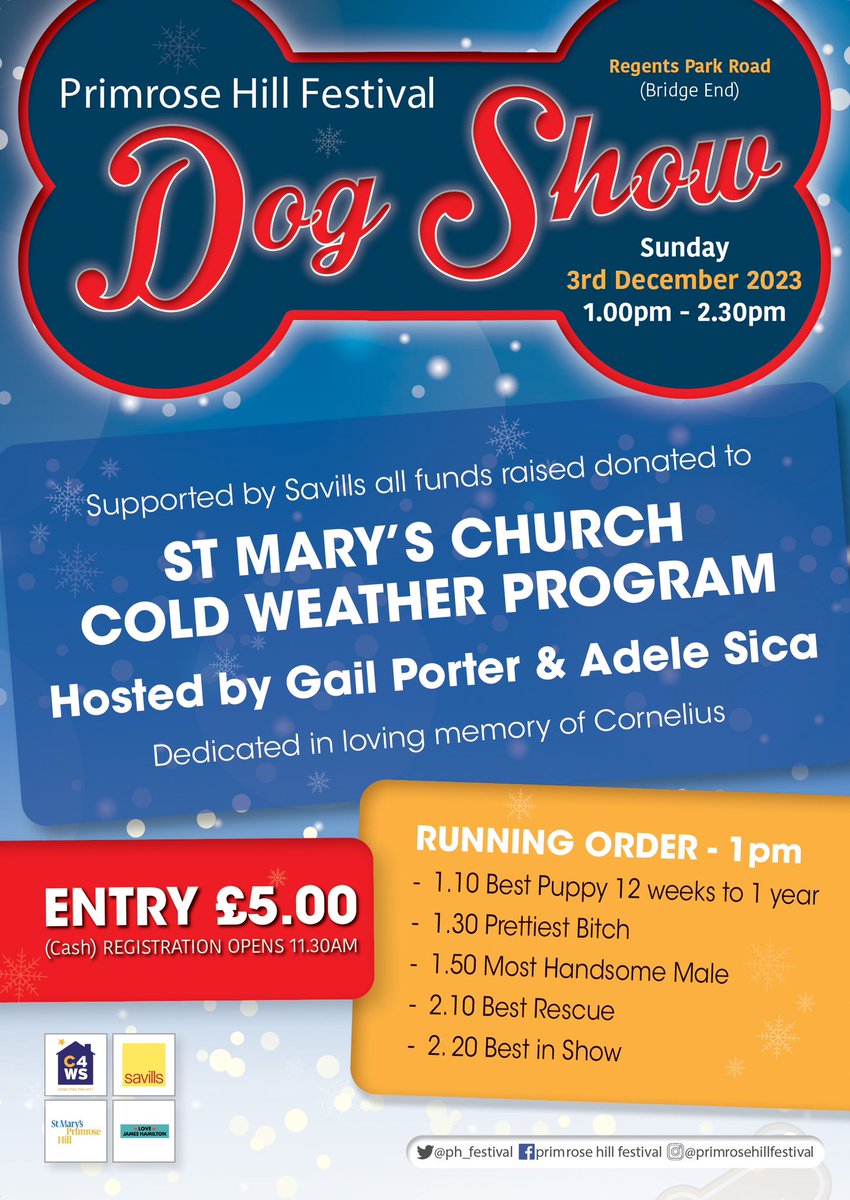 Only 6 days to go until Christmas descends on to our glorious Primrose Hill! Join us for a day full of festive cheer and be sure to visit our famous dog show. #PrimroseHill #Camden #Festival #DogShow