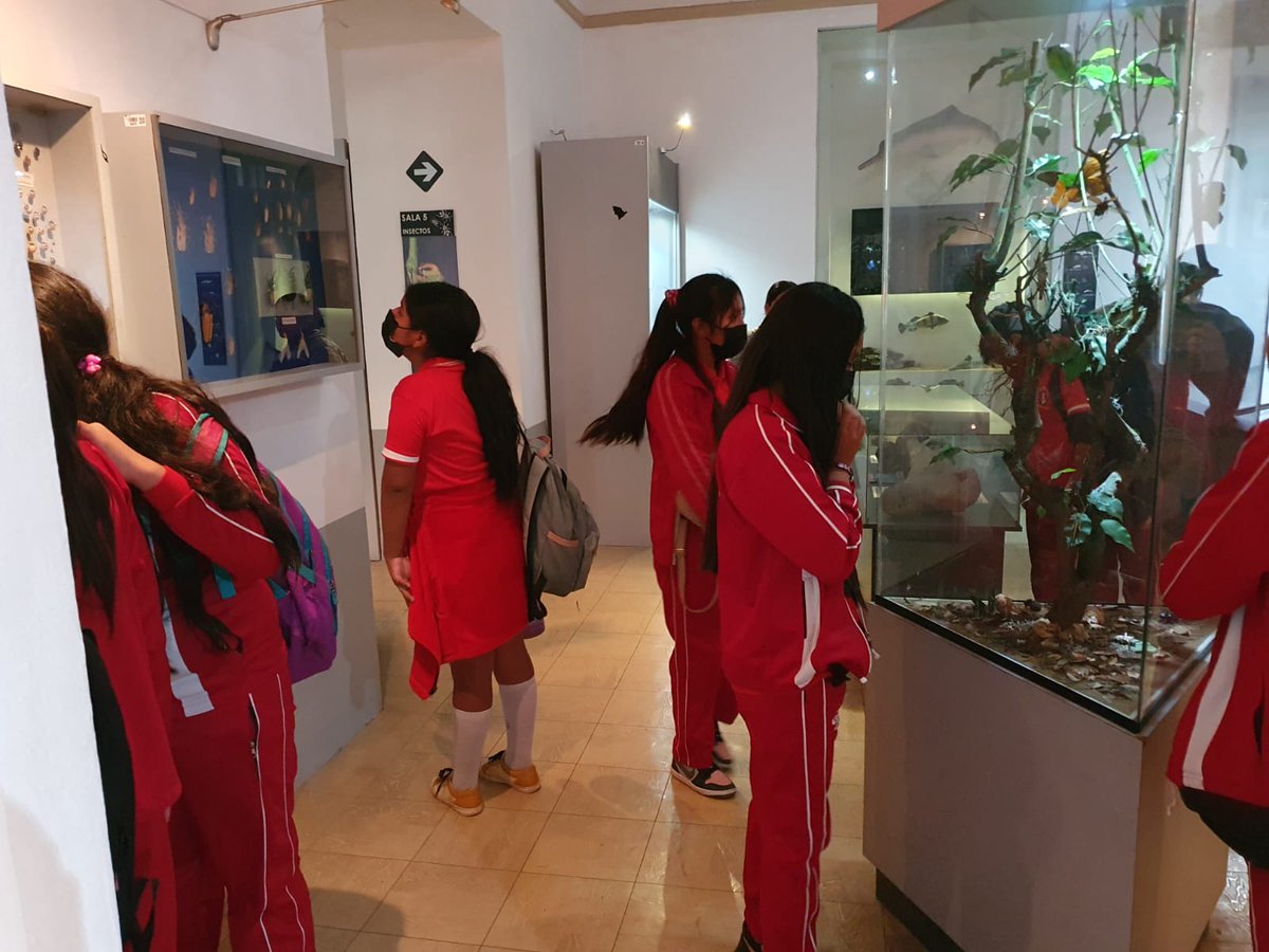 MuseodOrbigny's tweet photo. Conociendo y aprendiendo de nuestras salas de exhibición y toda la colección expuesta. https://t.co/LUkYuRi0Pv