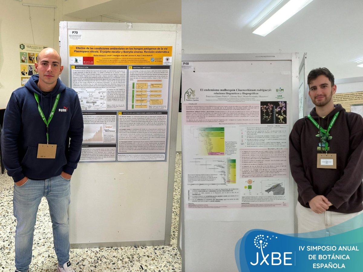 JovenesBotanica's tweet photo. @Guille_MG77 presentó “Efectos de las condiciones ambientales en los hongos patógenos de la vid Plasmoparaviticola, Erysiphe necator y Botrytis cinerea” y @fcogopri “El endemismo mallorquín Chaenorhinum rodriguezii: relaciones filogenéticas y filogeográficas”. https://t.co/F27ew5r3GM