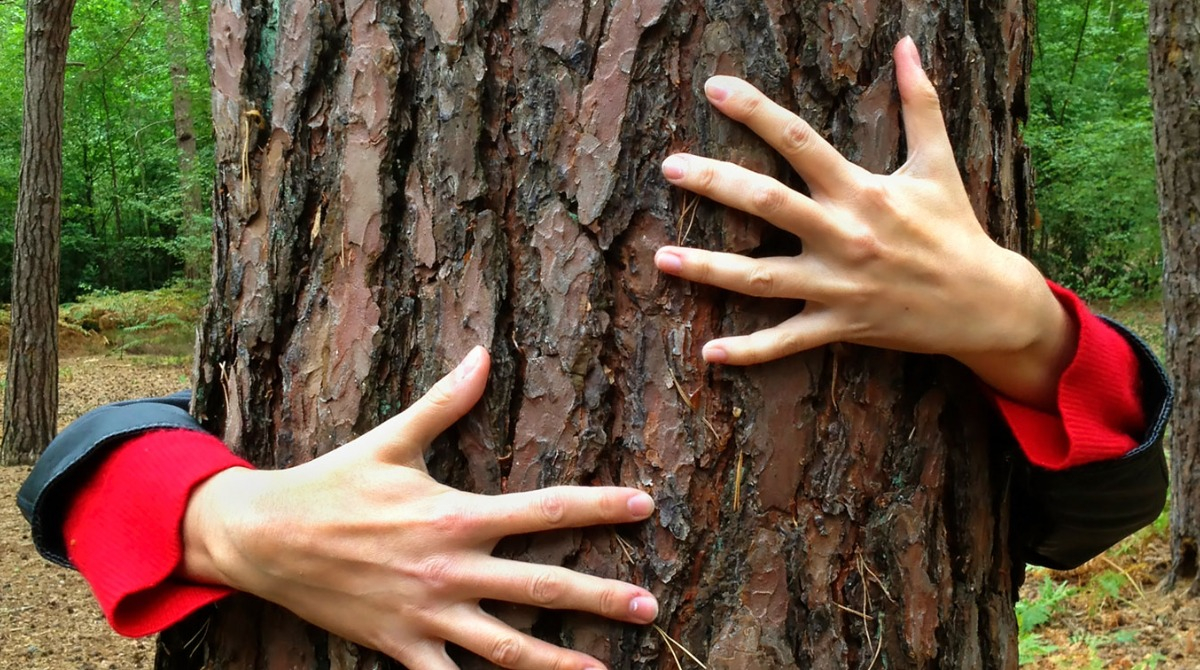 RvrsToken's tweet photo. Join the movement that matters! 🌱💚 With #Reverse, your investments fight CO2 through tree planting initiatives. Let's make an impact together. 🚀🌲 #ReFi #1BillionTrees https://t.co/ZpqalzboQK