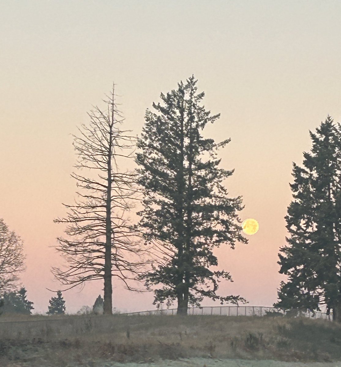 Love it when I get to see the moon 🌕 on my way to work