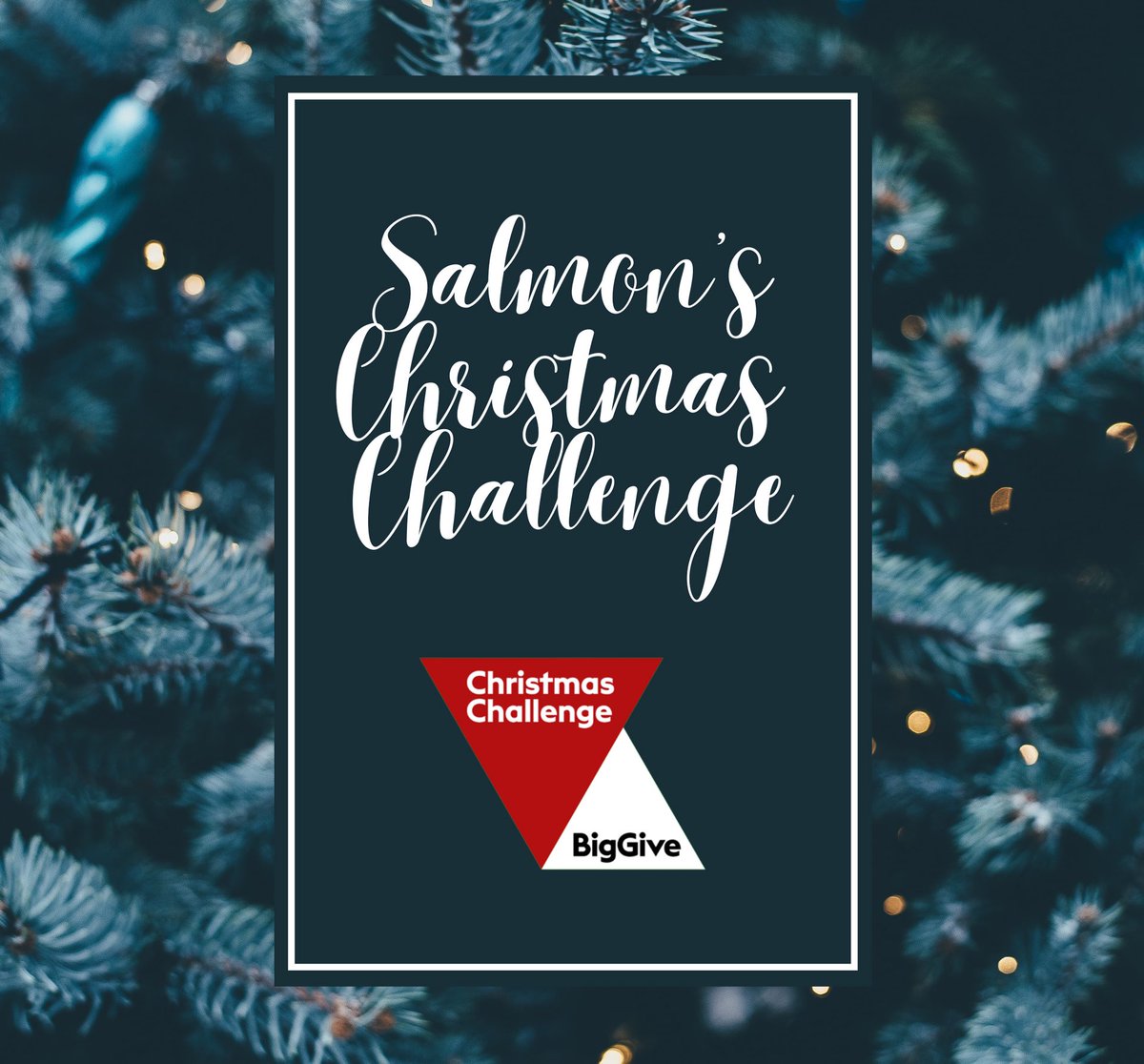 We’re excited to announce that we’ll be taking part in the Big Give #ChristmasChallenge! Every donation made to Salmon’s campaign from 28th November- 5th December will be doubled! IT STARTS TOMORROW 

donate.biggive.org/campaign/a0569…