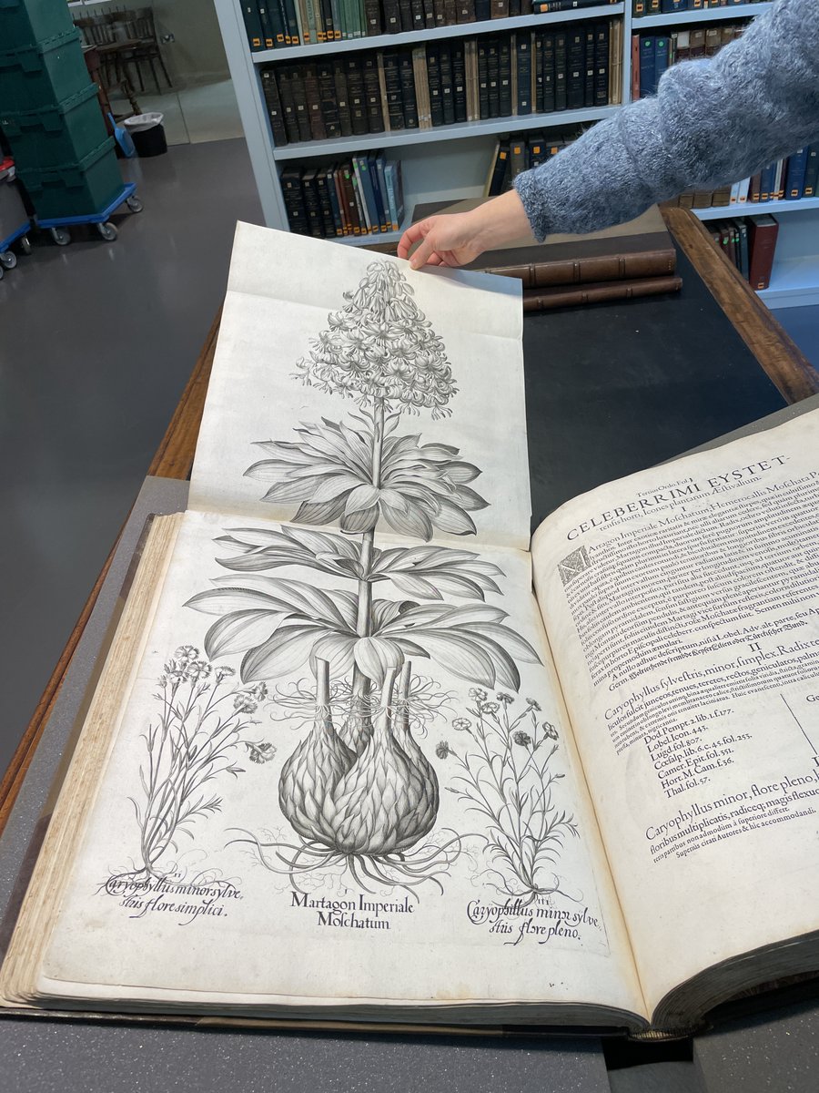 Cam Botanic Garden tweet media