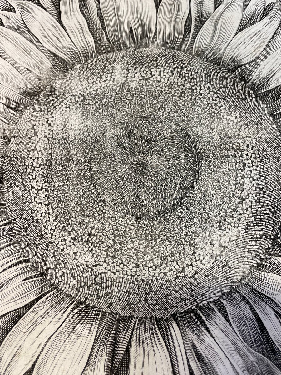 Cam Botanic Garden tweet media