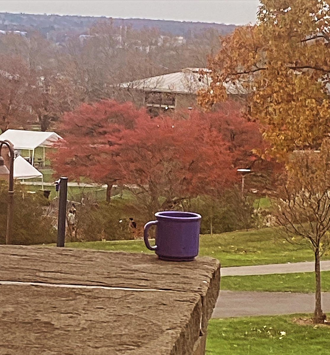 DelsCoffee1's tweet photo. Mugshot Monday: the lonely purple mug.
#mugshotmonday #purple #purplemug #lonelymug #stillnovember #specialtycoffee #fairtradeorganiccoffee #ithacacampus #localroaster #coffeetime #coffeelover #coffeevibes https://t.co/GCxvn5ONIF