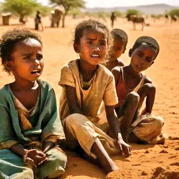 LetbrehanGebre1's tweet photo. #TigrayStarving The Ethiopian regime has isolated Tigray so
|that the humanitarian aid does not reach the
Tigray people @WFP & @USAID have stopped humanitarian aid
to #Tigray as people starve
#TigrayGenocide #TigrayFamine
@PowerUSAID @USAID @UNICEFEthiopia @UNICEF @USAID
@LetbrehanGebre1