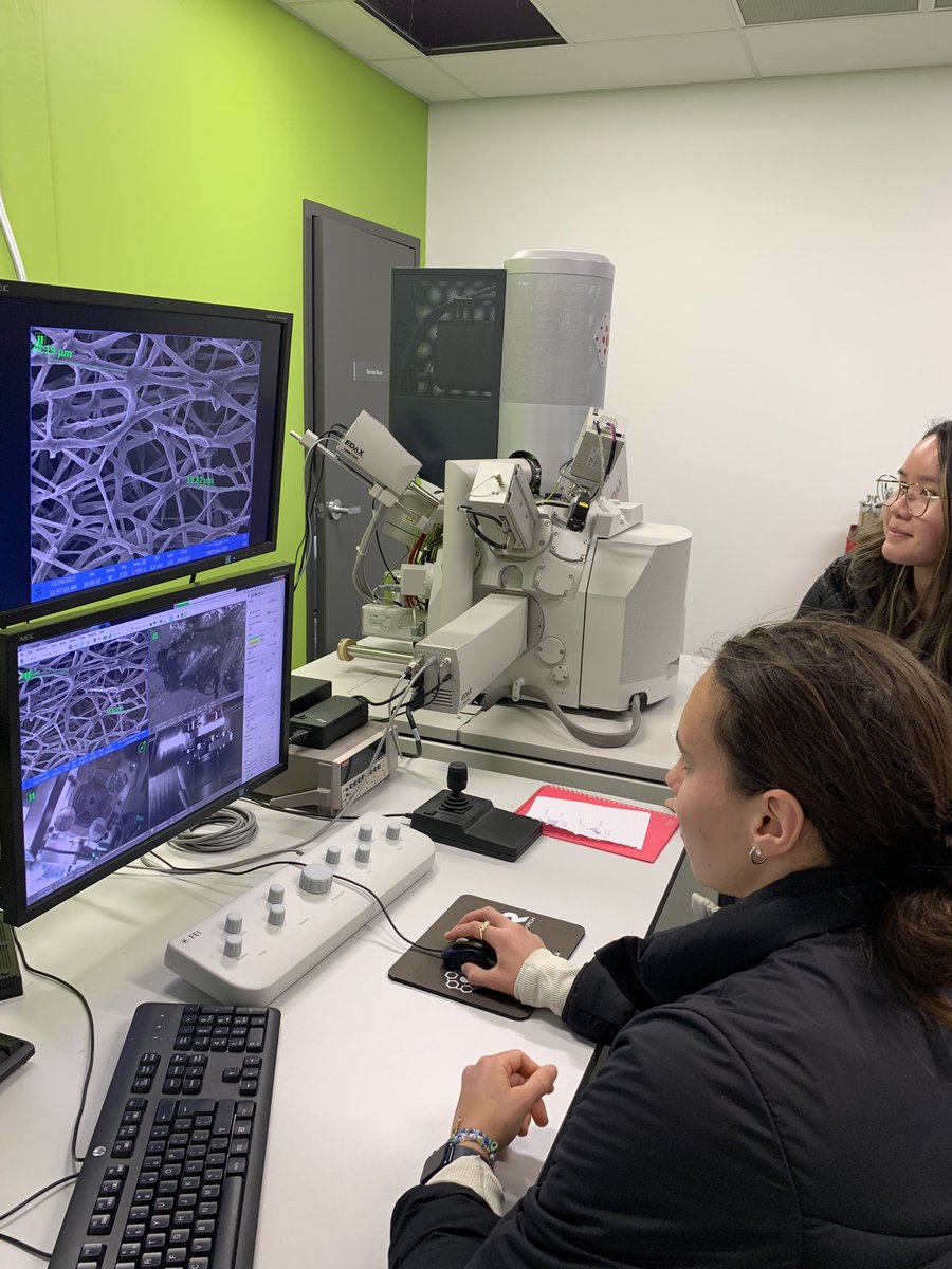 The best part of teaching our new MSc students: helping everyone collect their first scanning electron micrographs of their own study organisms!