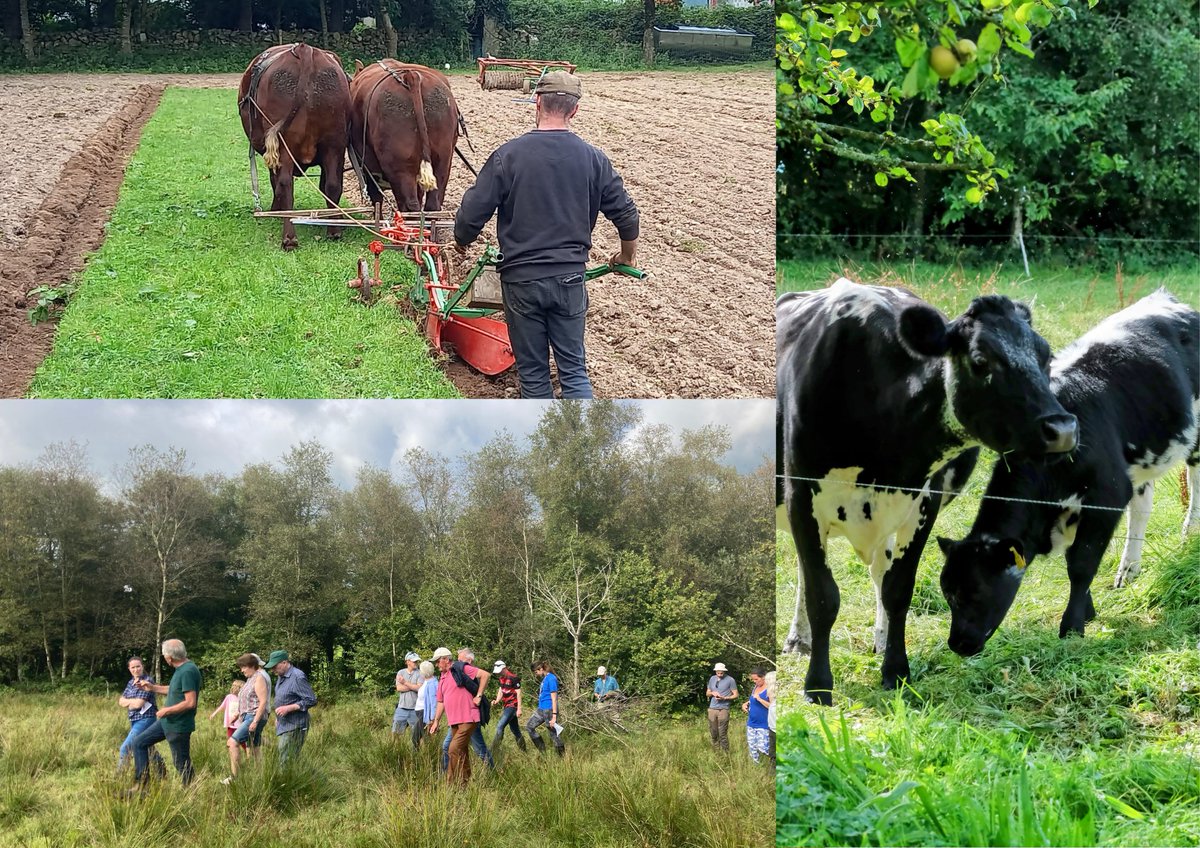 Farming For Nature (@farmfornature) on Twitter photo This year we held 22 farm walks across 16 counties with over 450 farmers, landowners & members of the public in attendance. A huge thank you to our Ambassadors for hosting a walk, thanks to all who attended & thanks to <a href="/agriculture_ie/">Dept of Agriculture, Food and the Marine</a> & <a href="/NPWSIreland/">National Parks and Wildlife Service</a> for supporting these walks! This year we held 22 farm walks across 16 counties with over 450 farmers, landowners & members of the public in attendance. A huge thank you to our Ambassadors for hosting a walk, thanks to all who attended & thanks to <a href="/agriculture_ie/">Dept of Agriculture, Food and the Marine</a> & <a href="/NPWSIreland/">National Parks and Wildlife Service</a> for supporting these walks!