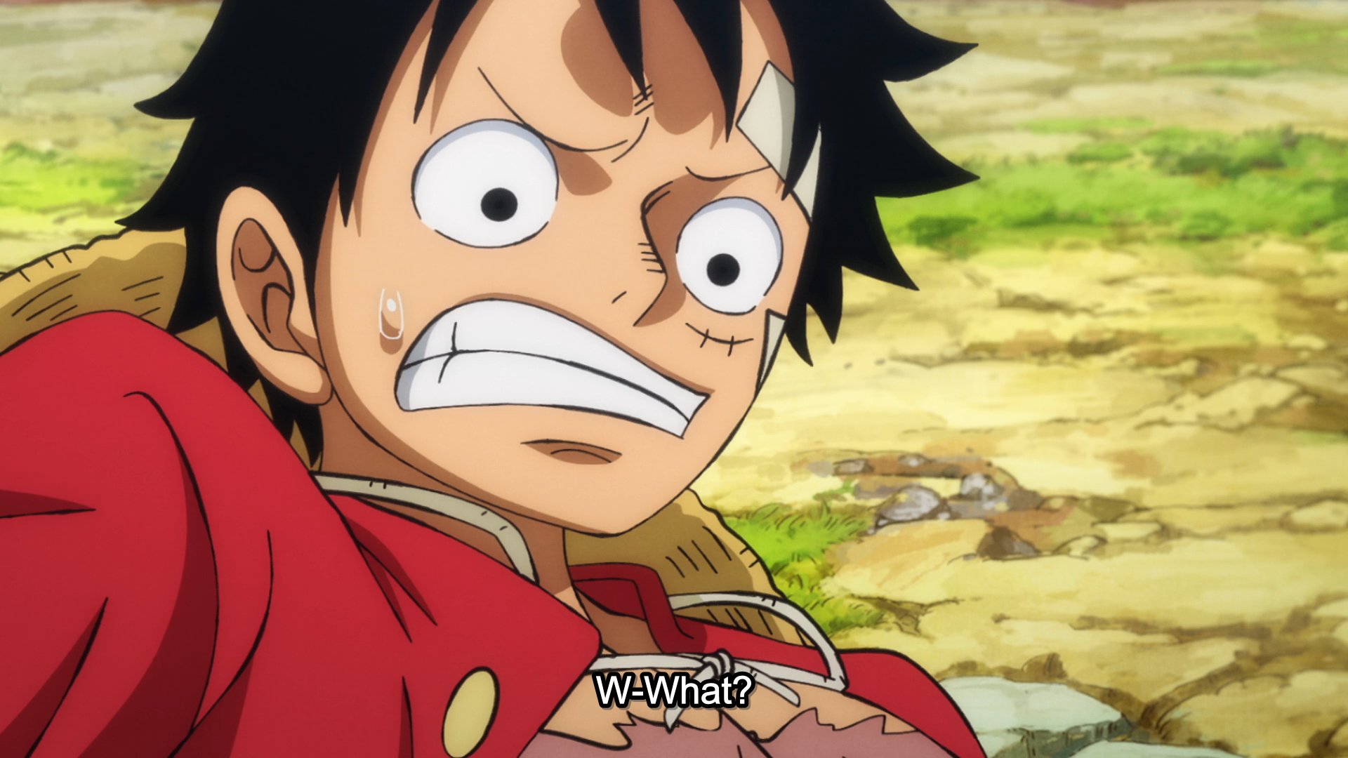 One Piece: quanto tempo leva para ficar em dia com o anime?