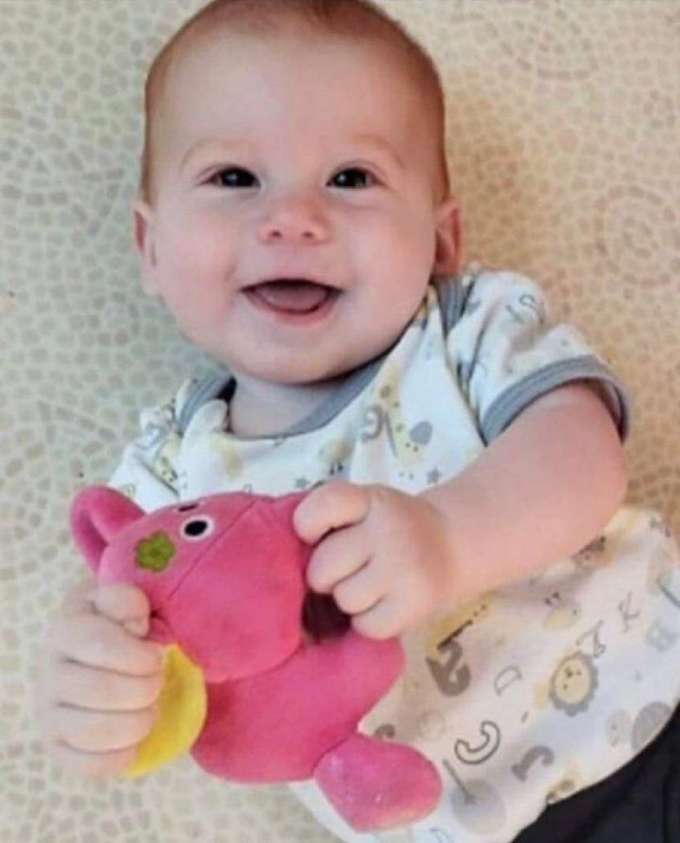 Dr. Eli David tweet media