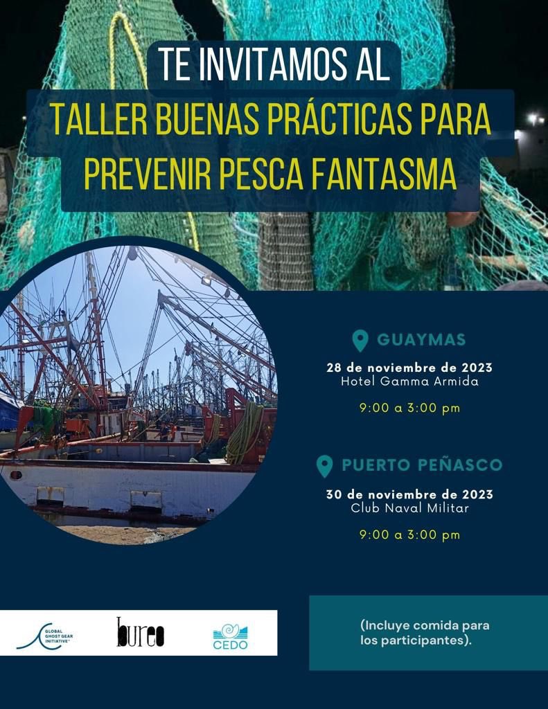 Es mañana en Guaymas