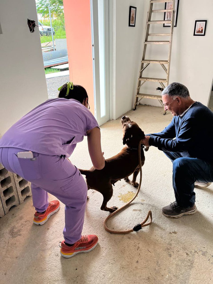 PRGAPSA's tweet image. Vacunación, libre de costo, en el Santuario de Animales de Barranquitas como parte de la Semana de los Albergues y Rescatistas.

Gracias al Departamento de Salud y el Colegio de Médicos Veterinarios de Puerto Rico.