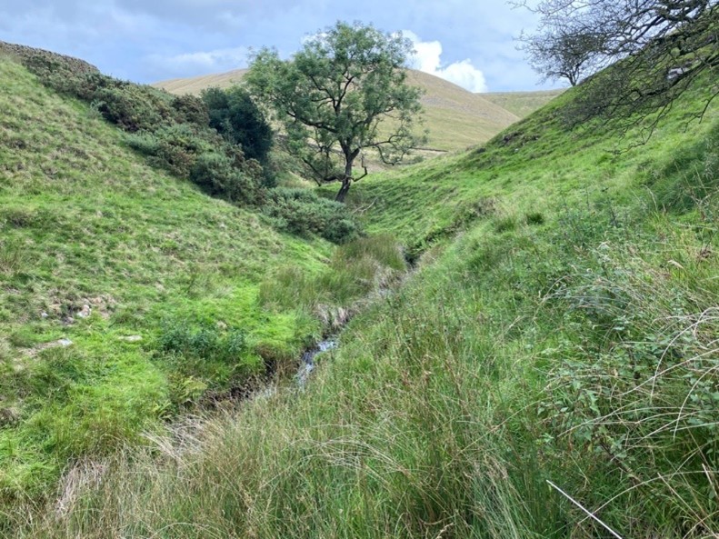 RibbleTrust's tweet photo. Happy #LancashireDay🌹
Did you know the #RibbleCatchment covers a huge part of Lancashire? In fact, we look after 1000s miles of rivers in this fab county.
That means that we get to see some of the most gorgeous places, and help to make them even better!
We 💙you Lancashire! https://t.co/U93nOeP7VH