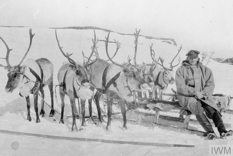 #Christmas #Xmas #reindeergames #RoyalNavy #Firstworldwar #Russia #Santa #24daysofchristmas