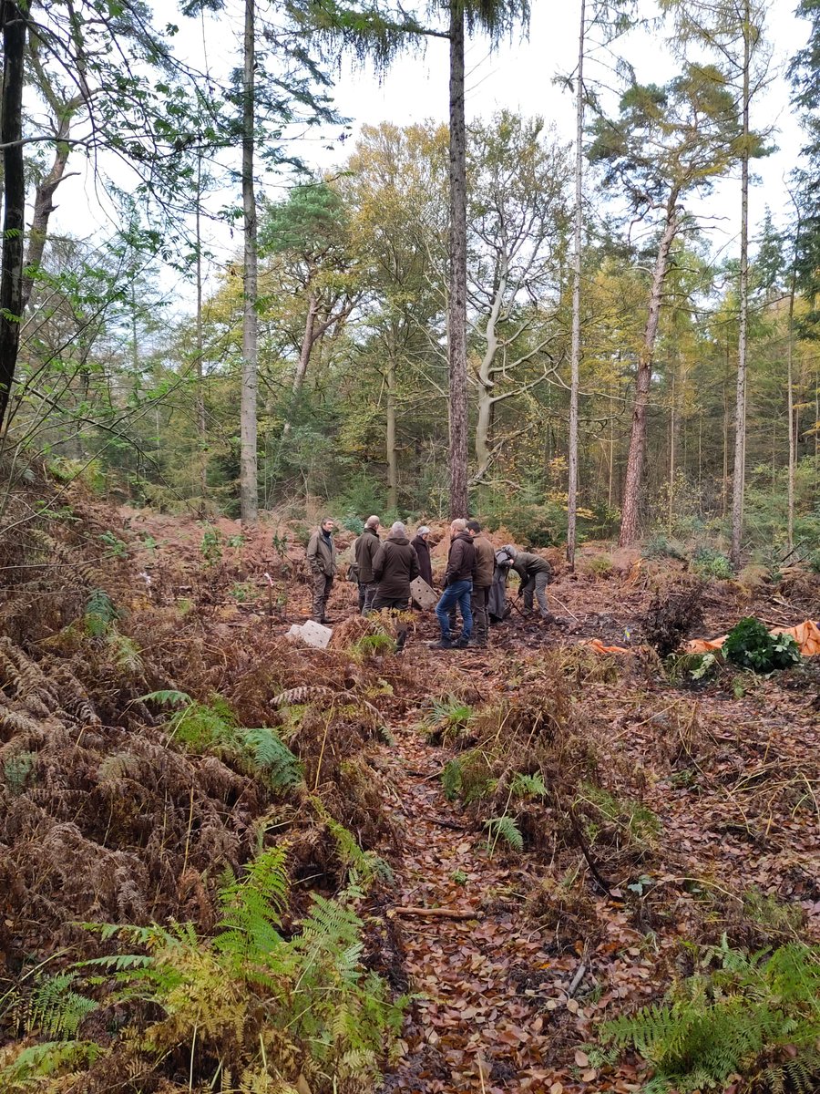 Borgman Beheer Advies tweet media
