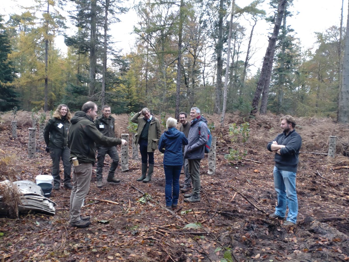 Ter ere van het 30-jarig bestaan van Borgman Beheer Advies hebben we recent een mooie boomplantdag georganiseerd met onze relaties op Landgoed Den Treek-Henschoten. 
We kijken hier met veel plezier op terug! 

U kunt hier het volledige bericht teruglezen:
linkedin.com/feed/update/ur…