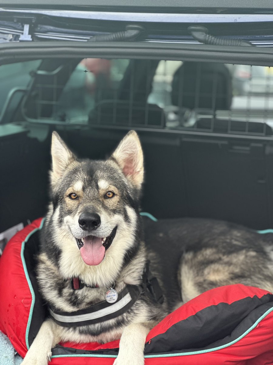 Dan Izzard tweet media