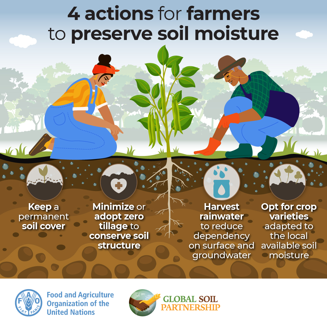 Knowing how to manage water sustainably and ensure effective soil moisture is vital for plants' growth. Here are 4 actions to preserve soil moisture👇 #WaterAction #WorldWaterForum