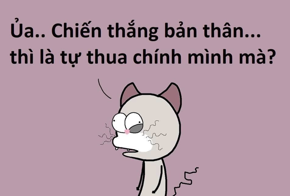 pnm_june's tweet photo. Hay lắm đấy mà khoe =)))
Khoe xong tự nhiên thấy nhột nhột😶
Theo mọi người là như nào mới đúng😂😂 
#funny #4fun #meme #jestfunny #phn https://t.co/QX2hsz67dY