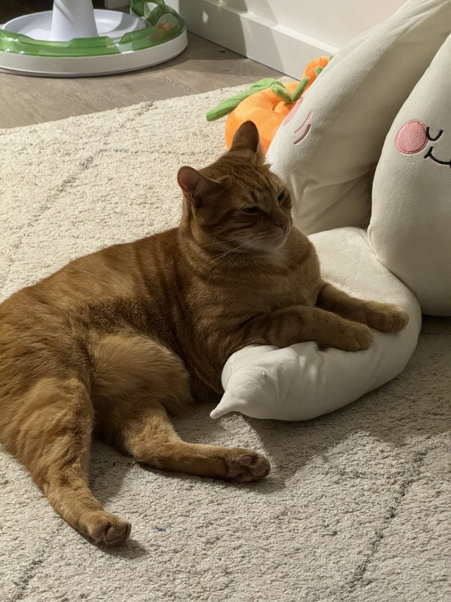 めろん🍈 tweet media