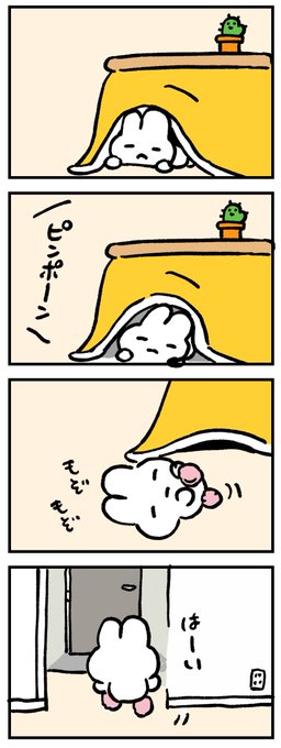 ルームソックスしか勝たん‼️