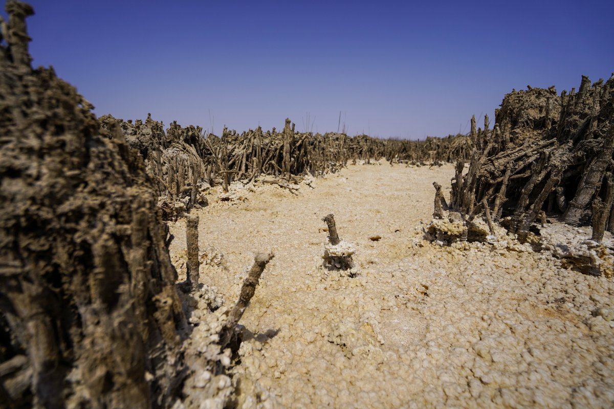 NRC_MiddleEast's tweet photo. How does climate change impact communities across #Iraq?

- Deepens vulnerabilities for 1.2 million displaced

- Restricts recovery of millions who have returned, resettled or relocated

- Stretches systems affected by decades of conflict to breaking point

#COP28 https://t.co/HDzfWKOuaf