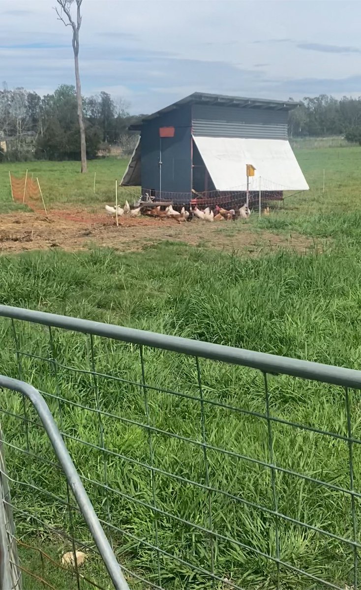 SPCKfarm's tweet photo. The eggorator is up and running. Built by our construction students on a recycled caravan frame. #pasture-raised #eggs #poultry #freerange https://t.co/9BdzJhMToa