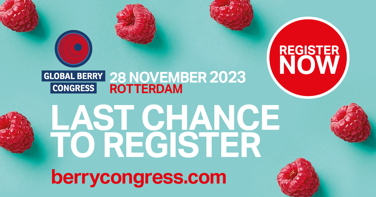 berrycongress's tweet photo. Global Berry Congress kicks off in less than 24 hours! Get real insights from experts. Expand your business reach and connect with your audience. Register now to secure your spot at the essential meeting point for the berry community. https://t.co/OgwGvRlMms #berrycongress https://t.co/1AzhLcY80d