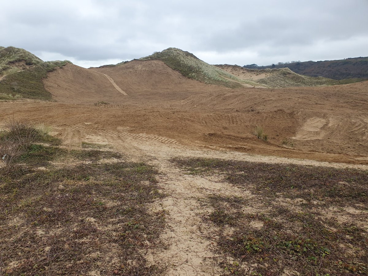 TwyniByw's tweet photo. Merthyr Mawr Update ๐ข
Sands of LIFE have restored 1ha of dunes across 5 areas at Merthyr Mawr NNR. These works will rejuvenate the habitats, helping restore dune mobility an reduce the over-stabilisation of the dunes.
#SandsofLIFE #Sanddunerestoration #MerthyrMawr https://t.co/H1Vd0vJGyV