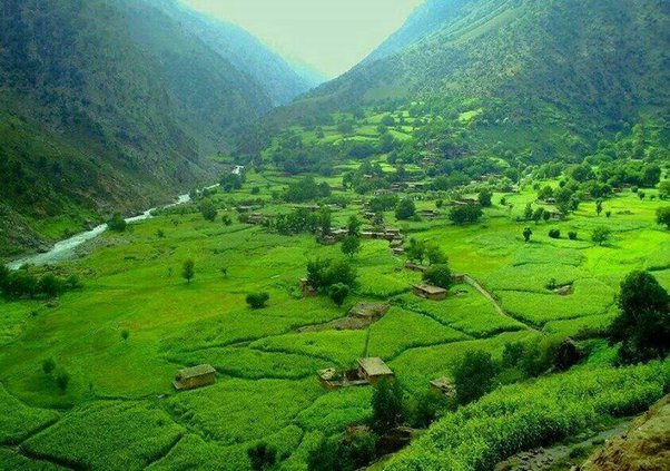 ShafiOriakhil's tweet photo. ژوند د خوښې طلب دی.
مګر د خوشالیو دایره فرق کړي.
ځینو خوښي تر شخصي ژونده محدود کړې، لکه ښه موټر، دنده، کور...!
مګر ځینو نورو دا فکري کړۍ تر ټول وطن غځولې.
که تاسې وطن کې له هر پرمختګ نه له زړه خوند اخلئ؛ نو نېکمرغه یاست.
مانا د دې وطن د هر غر، دښتې او سیند د مالکیت دعوه دار یاست. https://t.co/MTvhaAoZdb