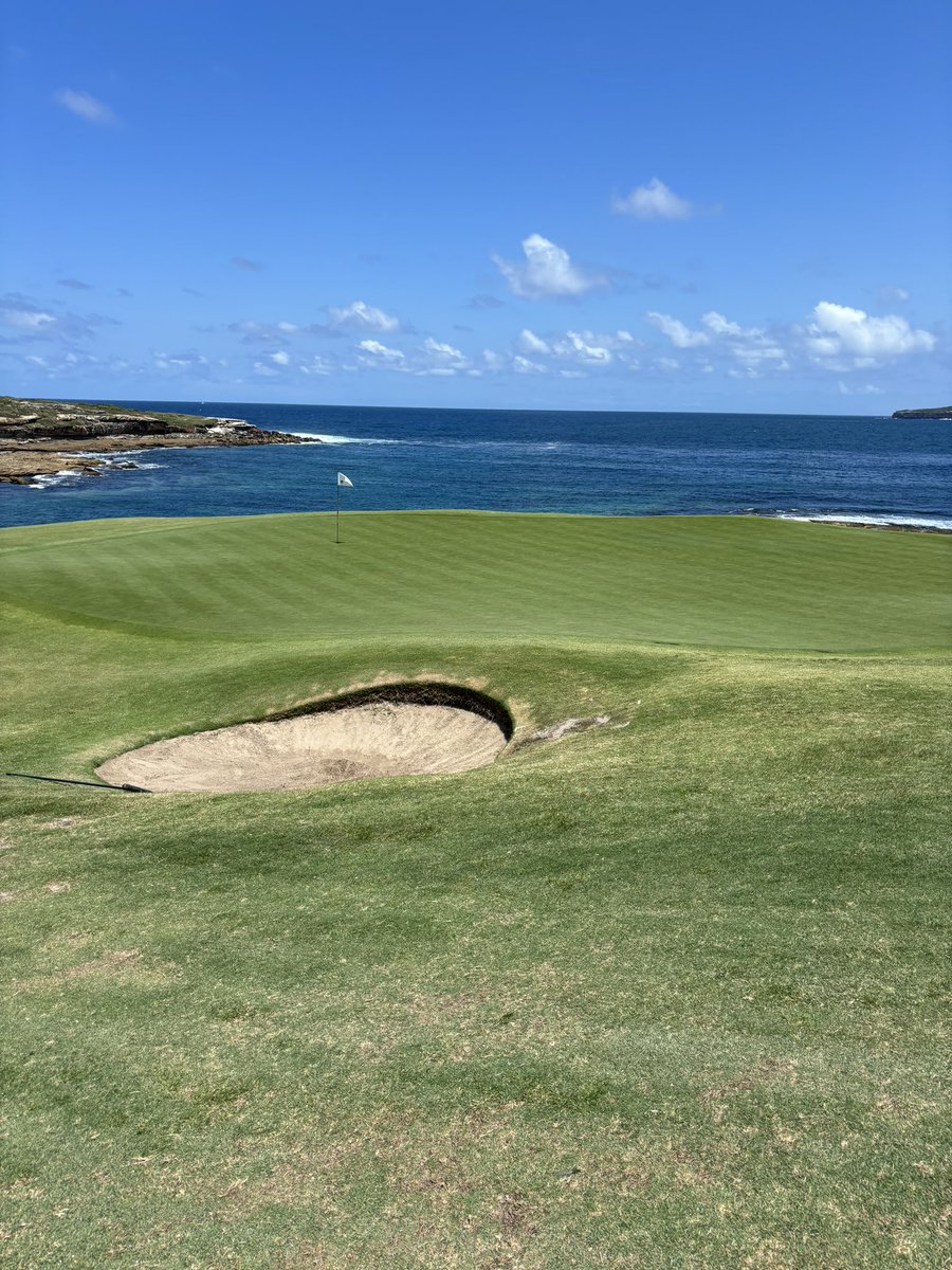 sato9937 tweet media