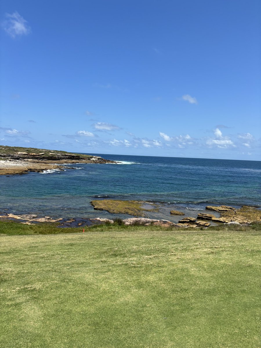 sato9937 tweet media