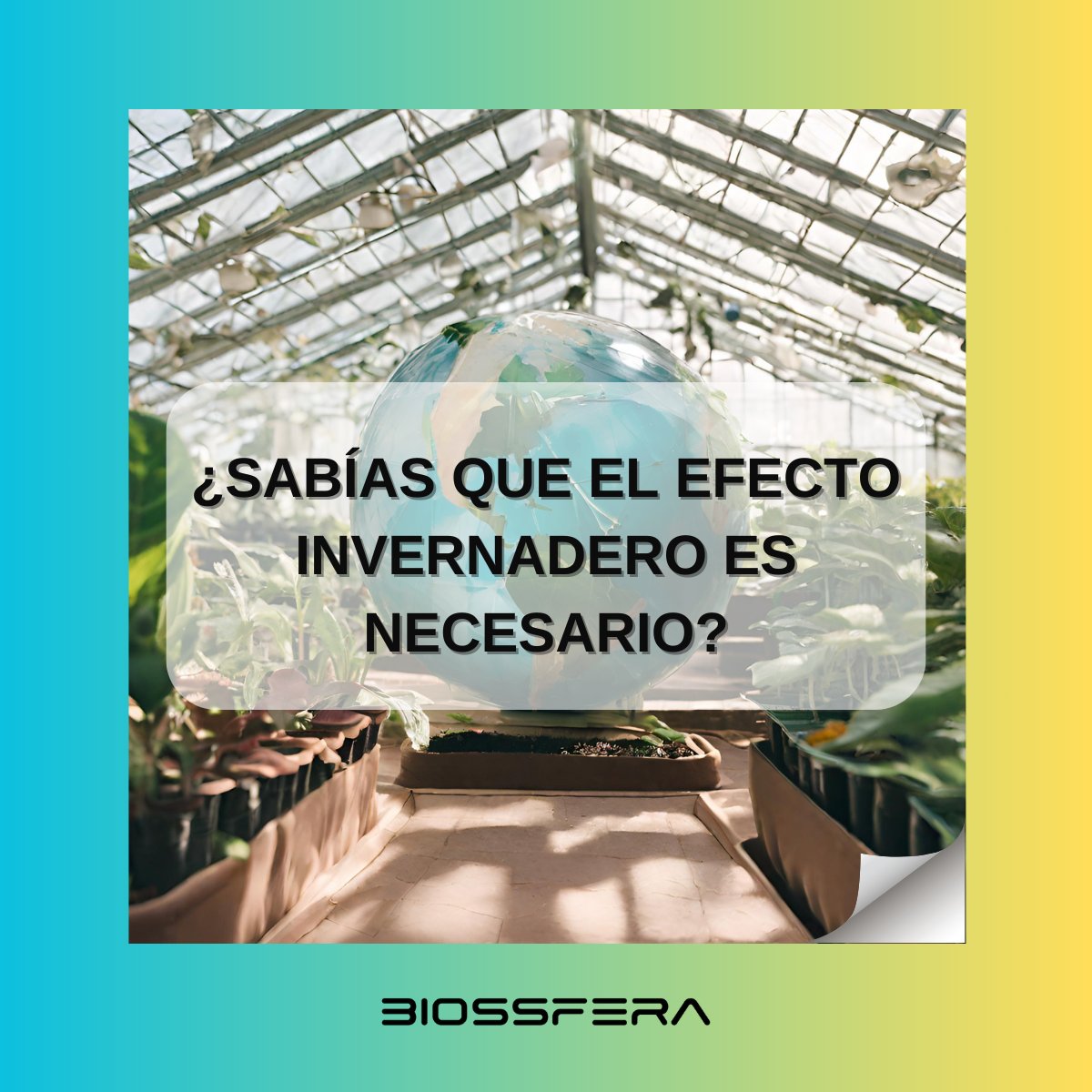BiossFera tweet media