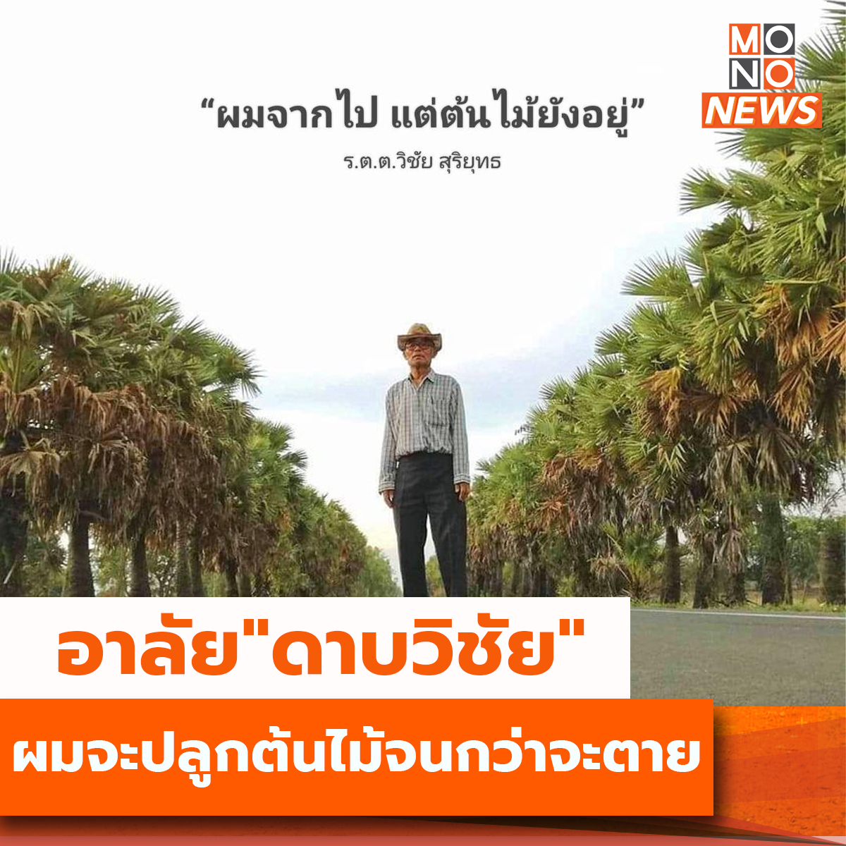 Mono News tweet media