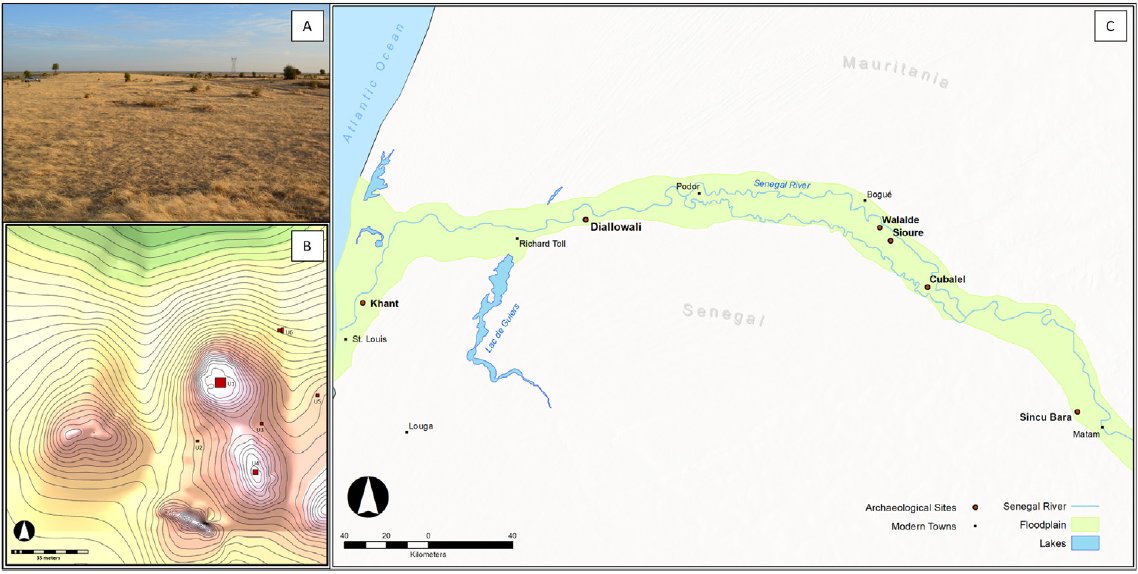 Excited to have this paper out with @JessamyDoman on the LSA site of Diallowali (Senegal) and the largest faunal assemblage from West Africa Its 1 of the few sites excavated in N Senegal and 1 of the few West African sites dating to the 1st millennium BC sciencedirect.com/science/articl…