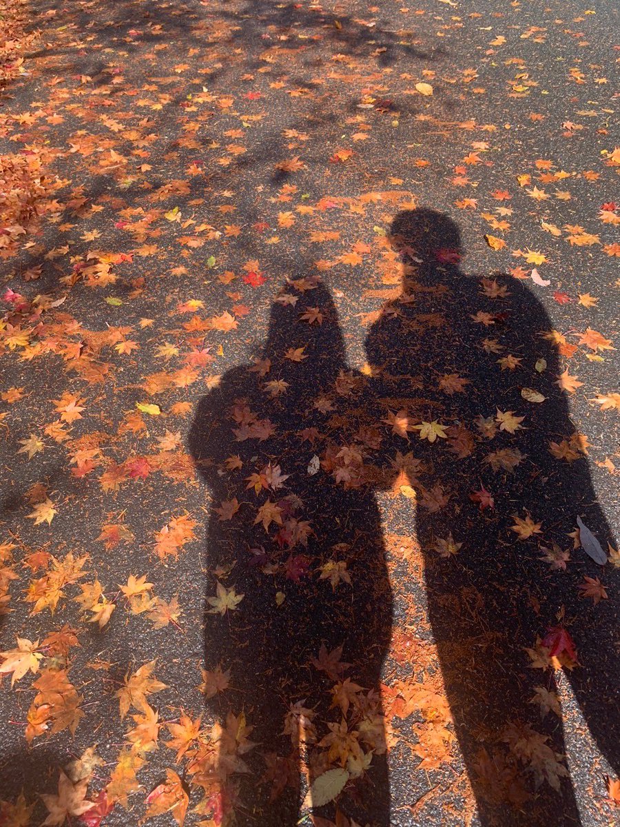 lij2_6's tweet photo. この度彼女にプロポーズを受けて頂き、結婚する事になりました。

来年の1月に入籍予定です💍

結婚式場の決め方や選び方を色々教えて頂けると本当にありがたいのでお願いします、、、。 https://t.co/cAa0Zg4iIW