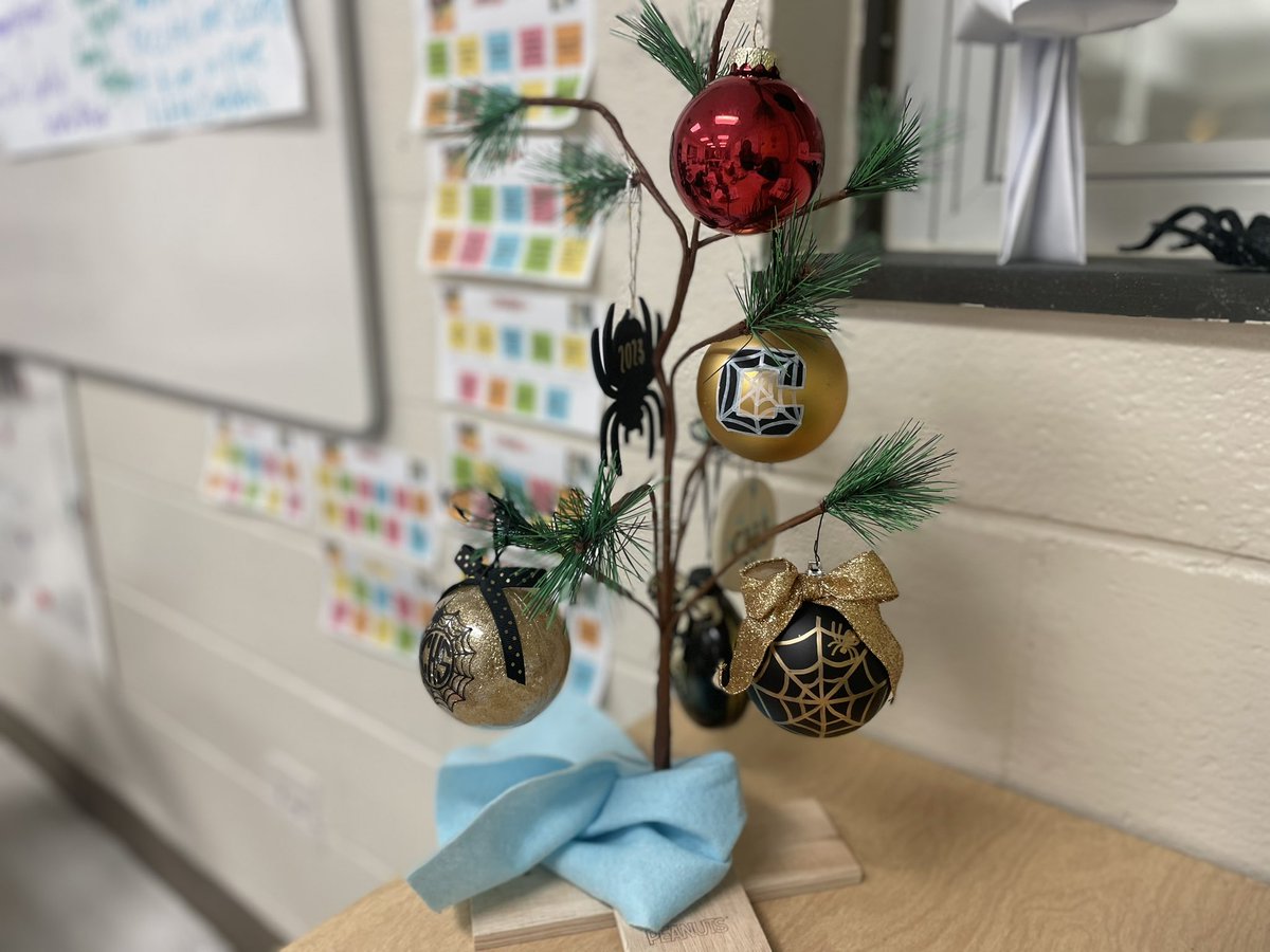 emilyfranESL's tweet image. My CHS Christmas tree 🎄 
One ornament for each school year at @SpidersCHS 🕷️🕸️💛🖤 

#ClassChristmasTree #TisTheSeason #charliebrowntree