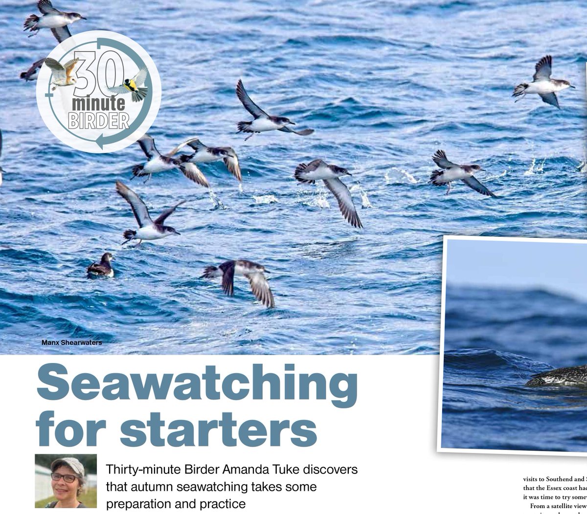 What an extraordinary place #Dungeness is... & a great place to have a first proper go at autumn #seawatching... Oh, & have a mentioned I saw a pallid harrier that day too??? 😀 @BirdWatchingMag the-urban-naturalist.com/2023/11/27/thi…