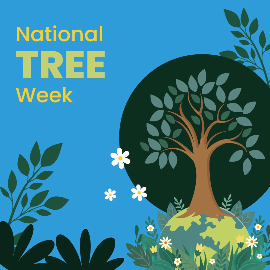 We know that energy has a big impact on the environment, that is why this National Tree Week we are focusing on the good we can do. At Utilink we partner Ecologi to plant a tree for every new client we help secure a deal on their business energy.

#nationaltreeweek #plantatree