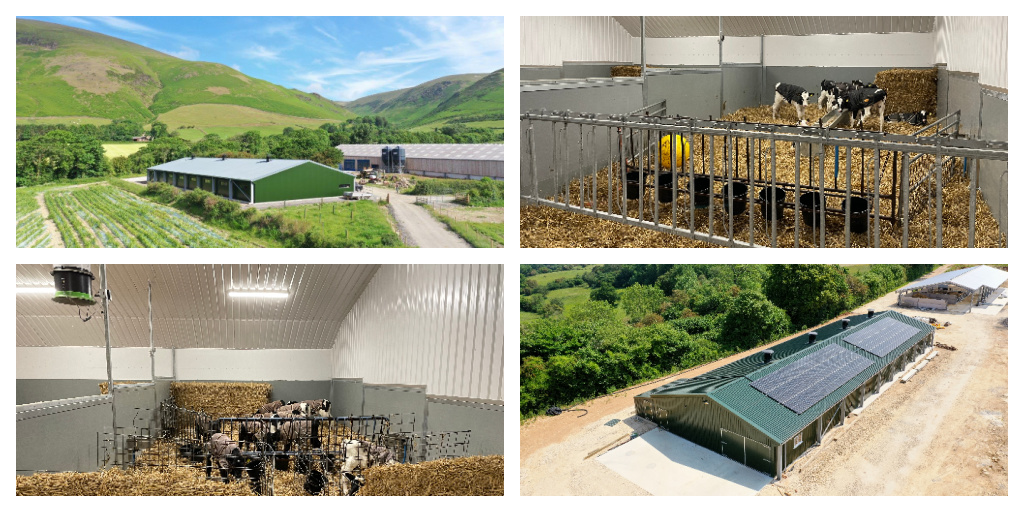 Powell & Co Construction Ltd tweet media