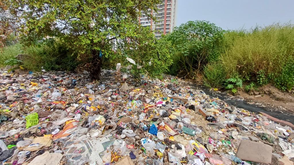IamTreepathi's tweet photo. #DumpingYards and #DebrisYards to flourishing #Native, #Biodiverse #UrbanForests
Life’s challenges can either make you or break you. Let them make you..
We have already transformed 20+ #DumpingYards and #DebrisYards sites. Sharing images of 10 more such ongoing sites in #Thane, #NaviMumbai, #Pune, #DelhiNCR, #Hyderabad soon these sites will be flourishing Native #UrbanForest
If you are looking for such kind of challenging project please feel free to connect
#MiyawakiPlantation #MiyawakiForest #GreenYatra
@ErikSolheim
@1t_org
@WEFUpLink
@wef
@cbdhage
@Dev_Fadnavis
@mannkibaat
@sameeryasir
@navimumbaicv
@AndheriLOCA
@marinebharat
@mumbaimatterz
@RoadsOfMumbai
@richaanirudh
@richapintoi
@vijaypNBT
@NaviMumbaiCity
@george_ryhea
@MNCDFbombay
@mulund_info
@MulundMumbai
@CommunityBandra
@bandrainfo
@Gupta_Shivanii
@TheMahaIndex
@MahaForest
@SMungantiwar
@DrSEShinde
@parasdamaa
@iAbhinayD
@dw_hindi
@sannuta
@shibika_suresh
@RaoKarunya
@diya_kohli
@pragyajha2391
@bhumipednekar
@deespeak
@TandonRaveena
@iam_juhi
@TheJohnAbraham
@MaladInfo
@iGopalShetty