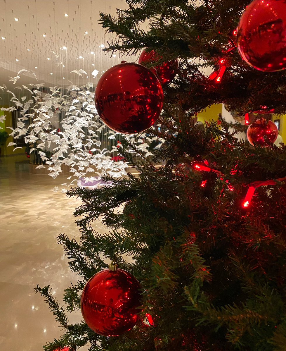 Hotel Botánico*****GL tweet media