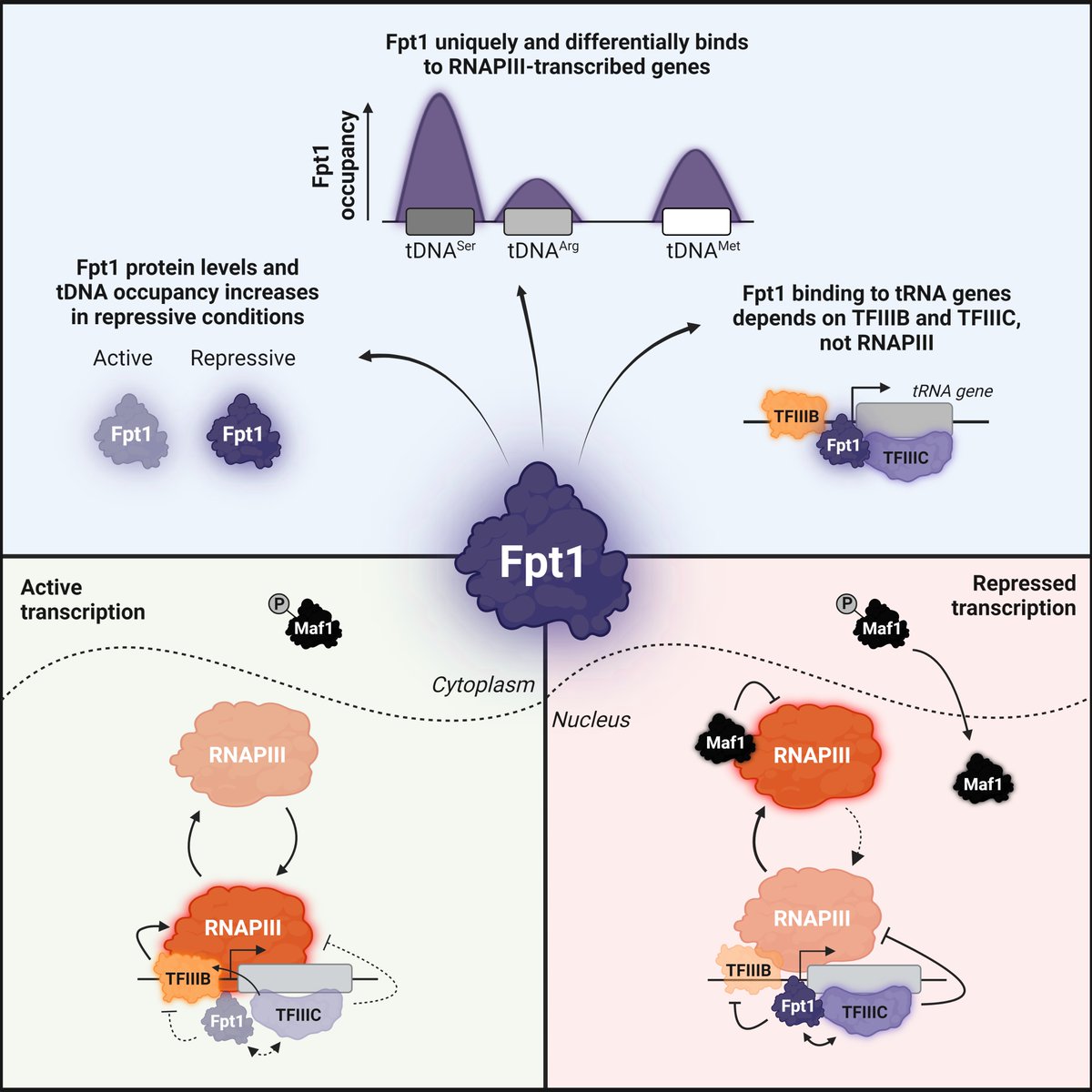 Fred van Leeuwen Lab tweet media