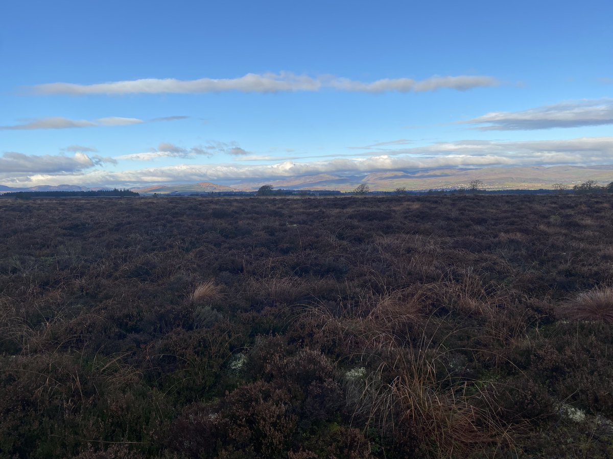 jgordonking's tweet photo. Nice wee wander with the dogs this morning.
Not sure who was taking who for a walk though. #timeoffwork https://t.co/ArNhKrRjGe