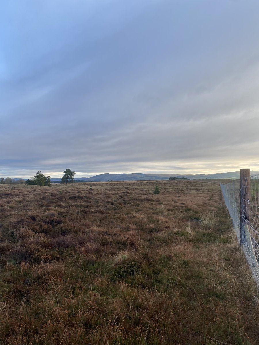 jgordonking's tweet photo. Nice wee wander with the dogs this morning.
Not sure who was taking who for a walk though. #timeoffwork https://t.co/ArNhKrRjGe