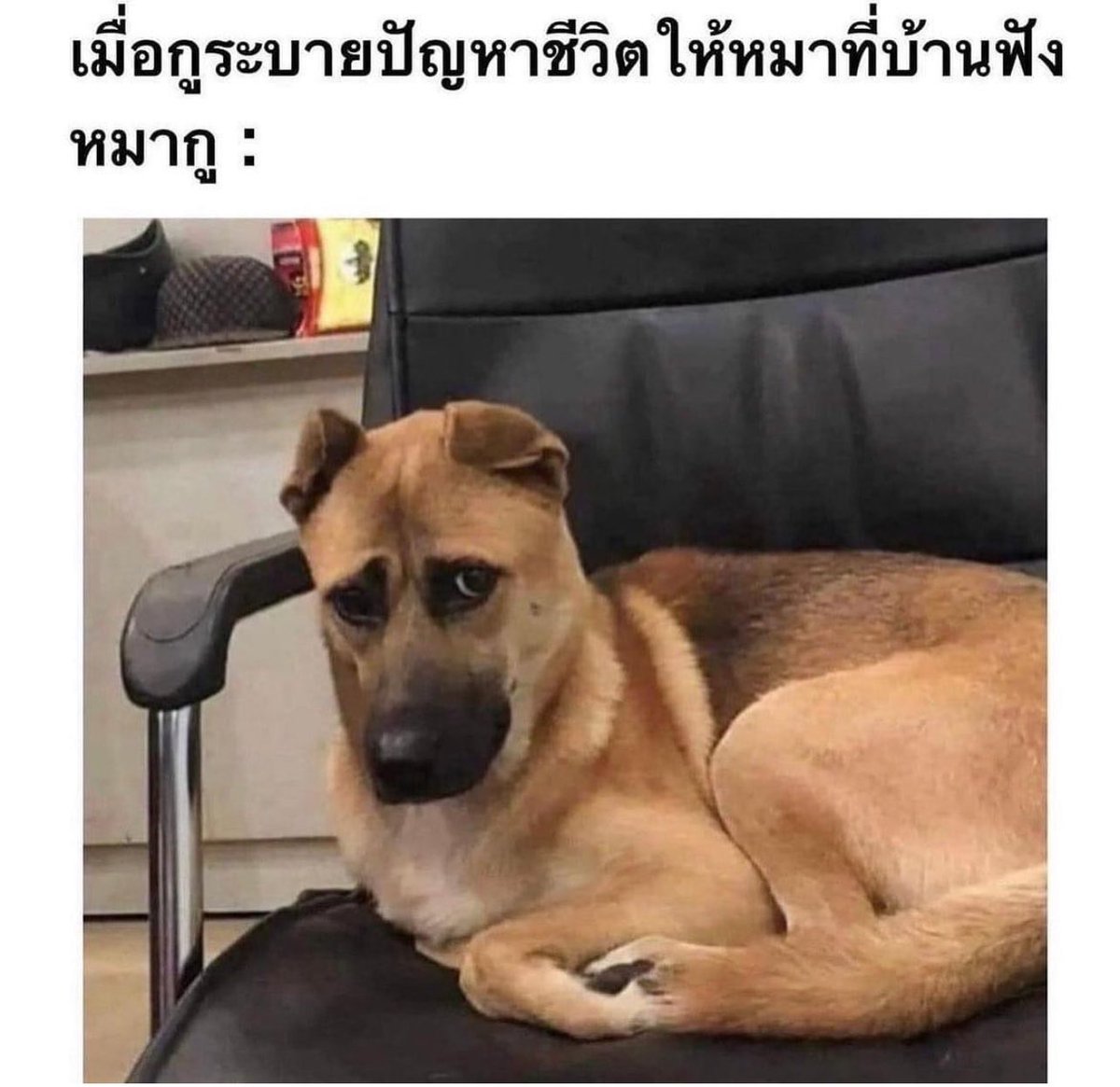 5555555555555555555555555555555555555555555555555