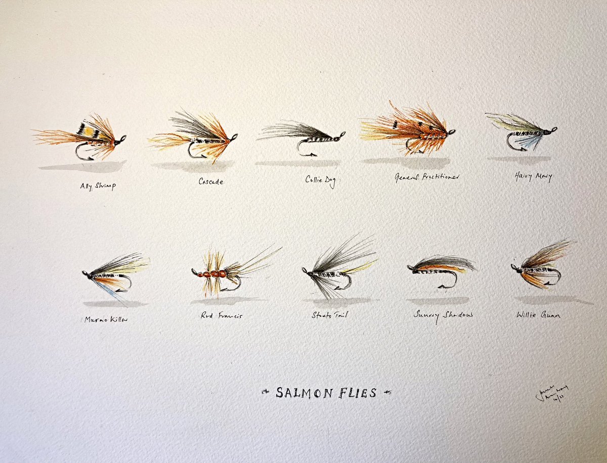 Some #Flyfishing illustrations recently created and some are printed as #limitededitions. #watercolour, #penandink on fine 300gm art paper. Measure 46cm X 61cm. If interested they available on jamesrfarmstrong.co.uk/store DM if I can help if you fancy a bespoke commission of your favs