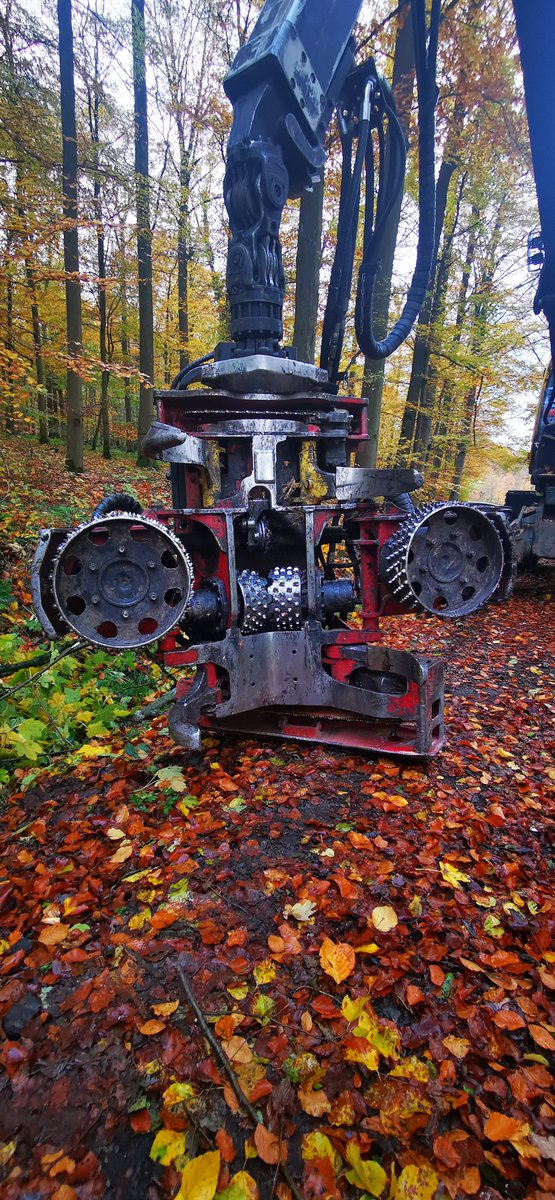 Oneforest_H2020's tweet photo. 🌳 Exciting strides in sustainable #forestry! @UniFreiburg conducted a field study in Hesse's Homberg forest district. Thinning operations using a specially designed harvester showcased not only safety improvements but also precision in felling.🚜
👉https://t.co/Uz9Qc3E5Yu #H2020 https://t.co/DB3QTm6LX0