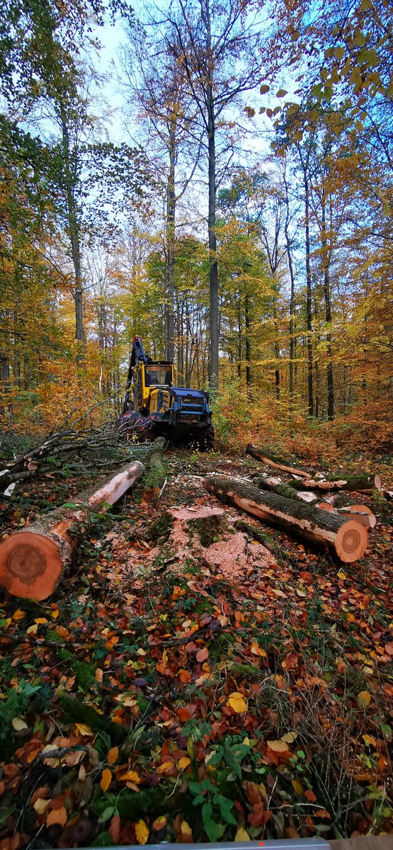 Oneforest_H2020's tweet photo. 🌳 Exciting strides in sustainable #forestry! @UniFreiburg conducted a field study in Hesse's Homberg forest district. Thinning operations using a specially designed harvester showcased not only safety improvements but also precision in felling.🚜
👉https://t.co/Uz9Qc3E5Yu #H2020 https://t.co/DB3QTm6LX0