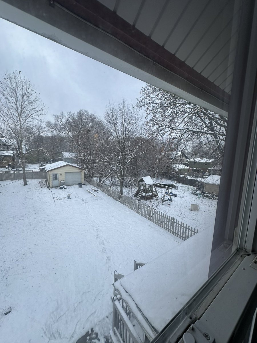 Female Flipper tweet media